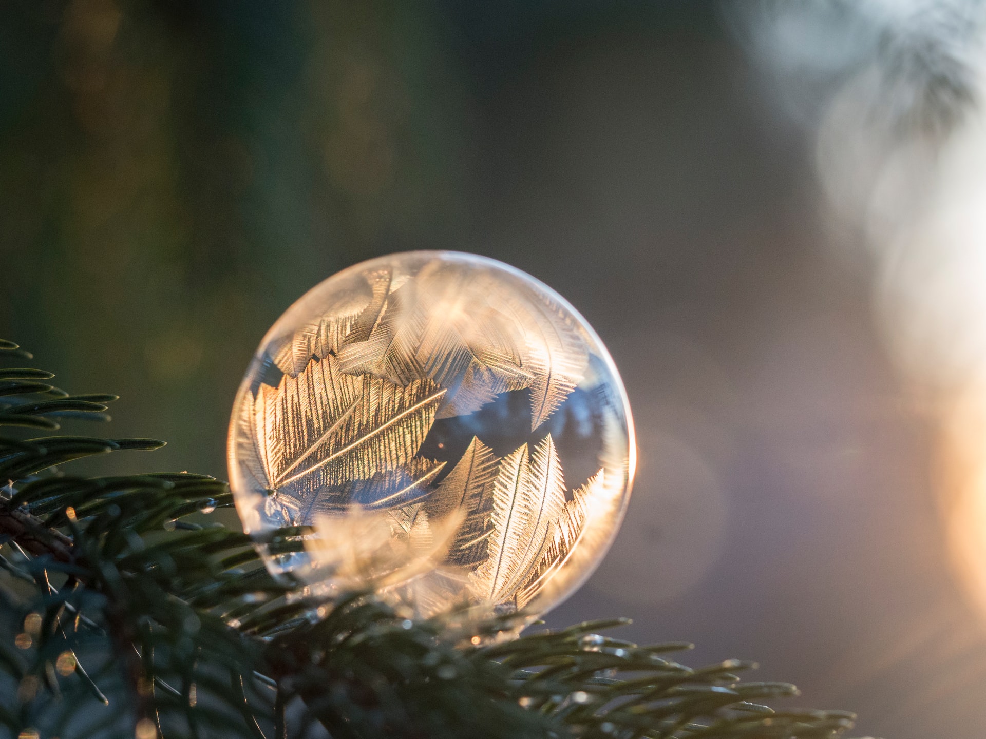 EthicalAds Newsletter - December 2021