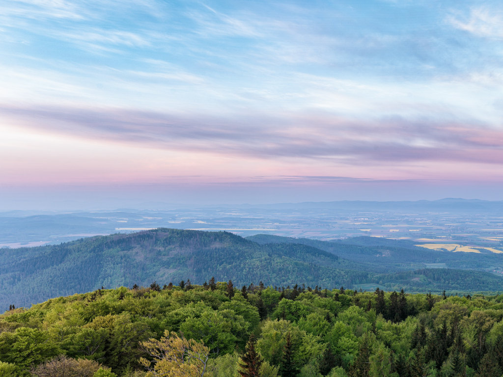 EthicalAds Newsletter - February 2021