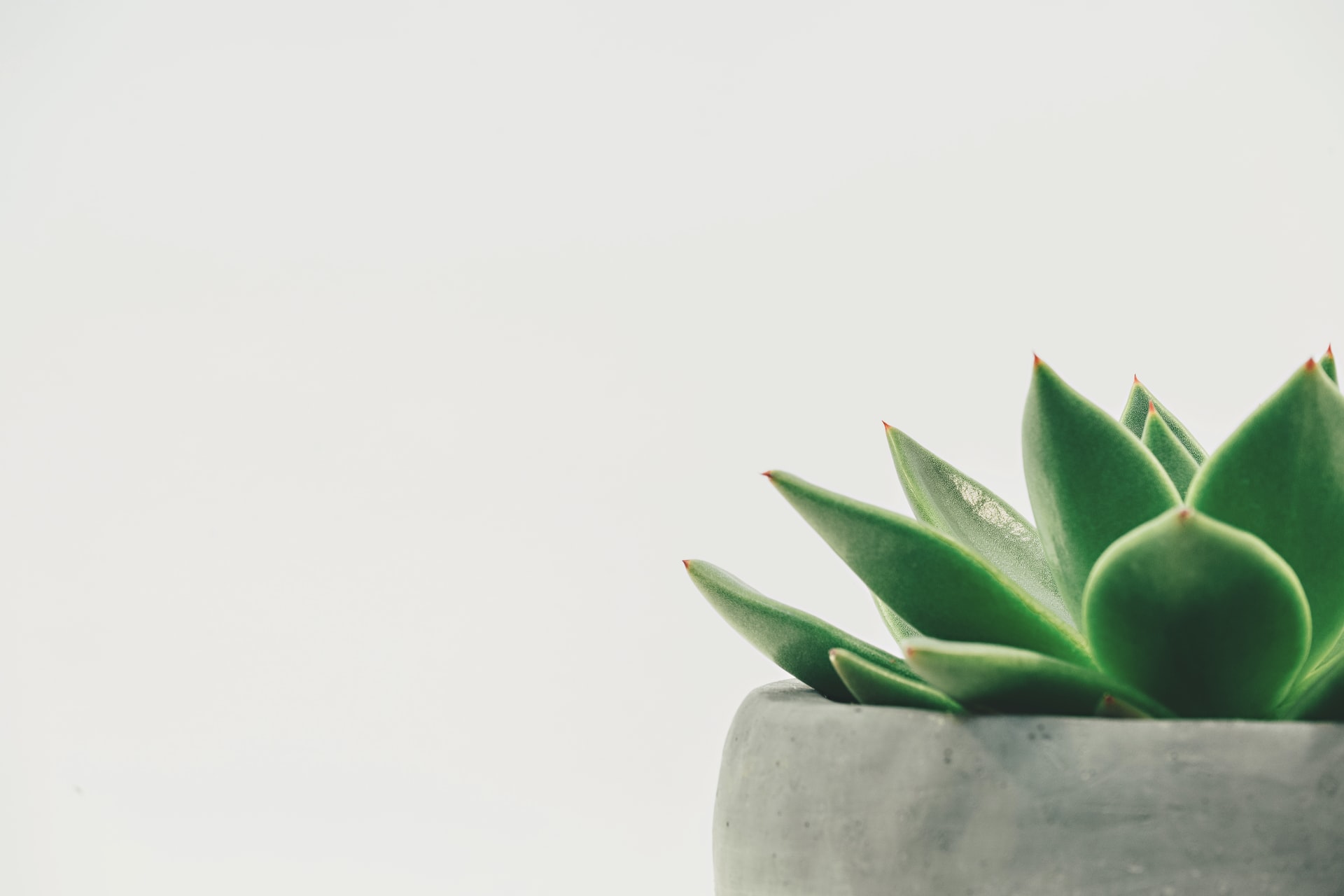 EthicalAds Newsletter - May 2021