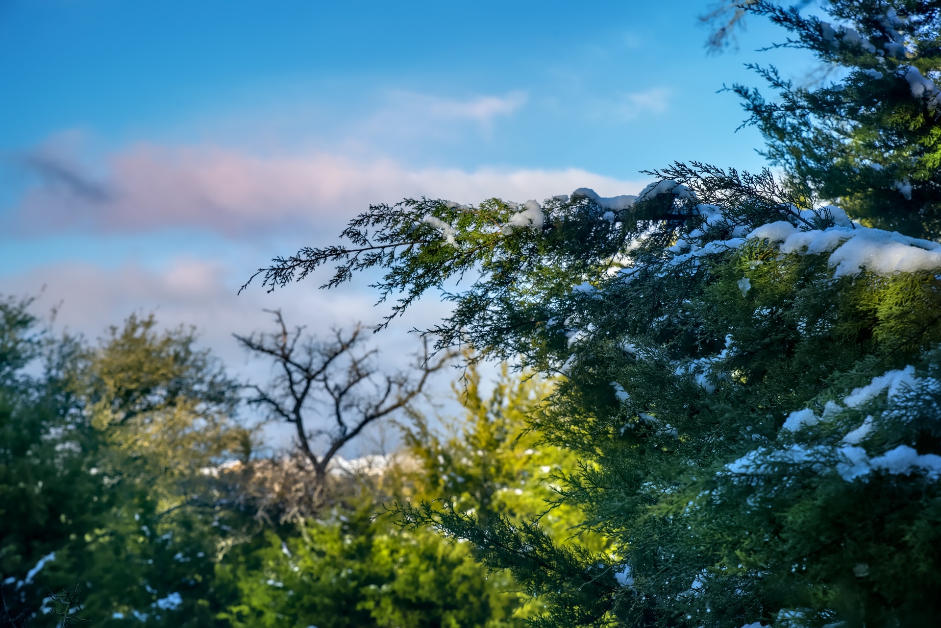 EthicalAds Newsletter - February 2022