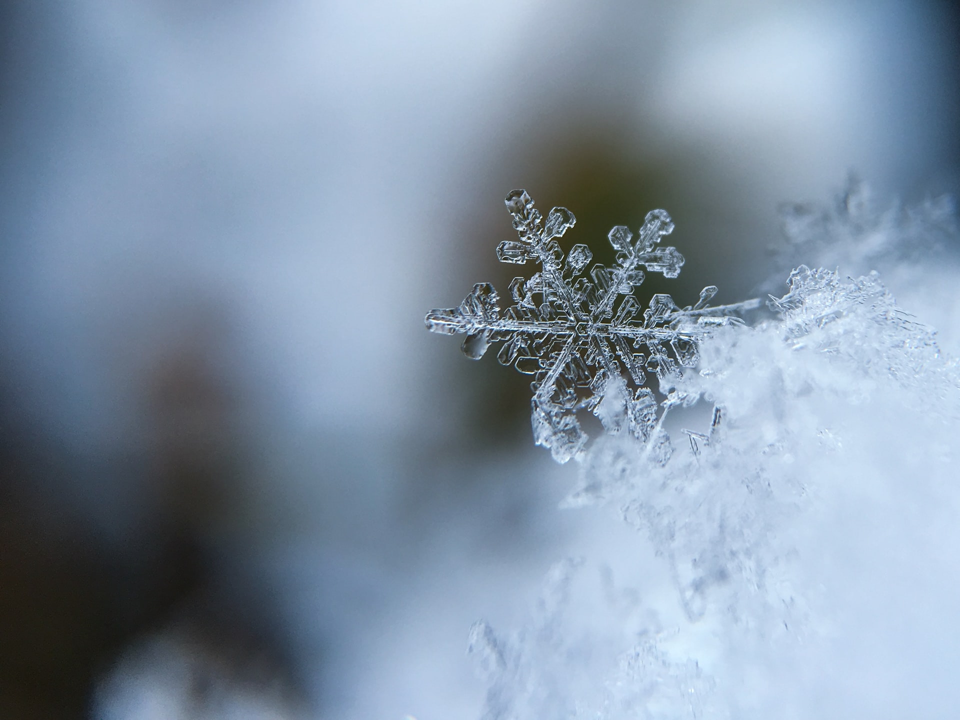 EthicalAds Newsletter - January 2022