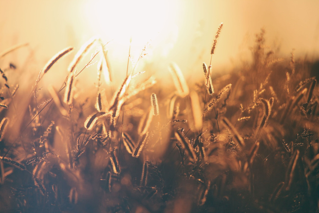 EthicalAds Newsletter - September 2022