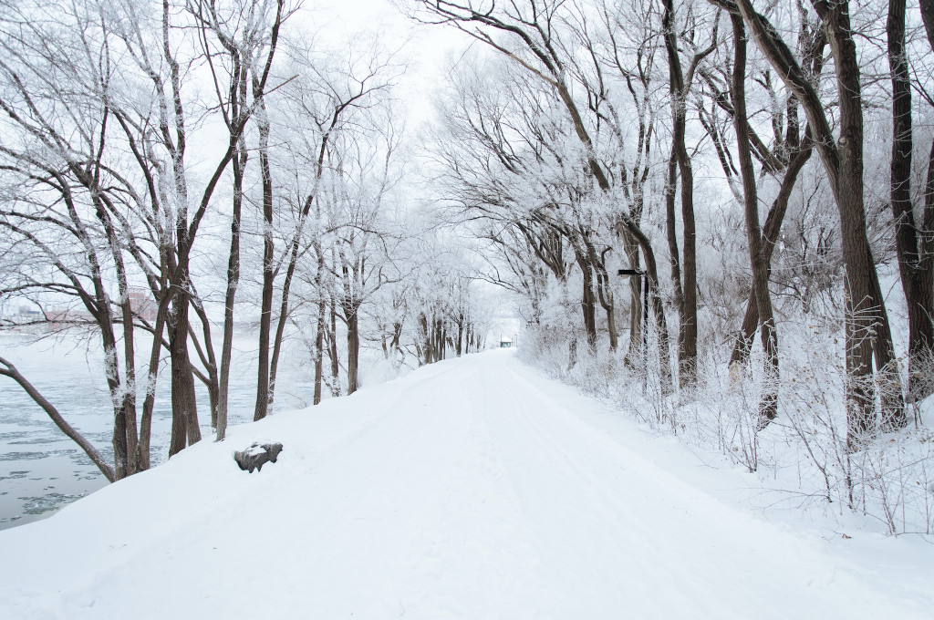 EthicalAds Newsletter - January 2023