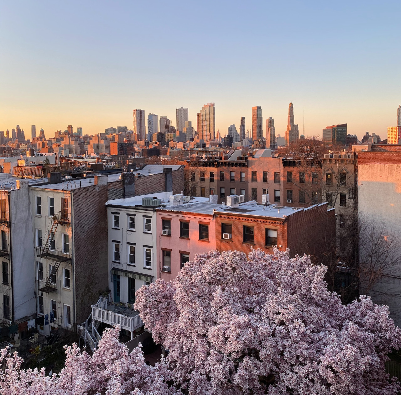 EthicalAds Newsletter - March 2023
