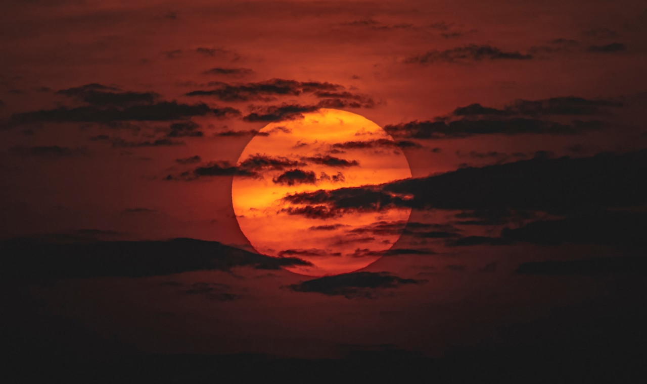 EthicalAds Newsletter - October 2023