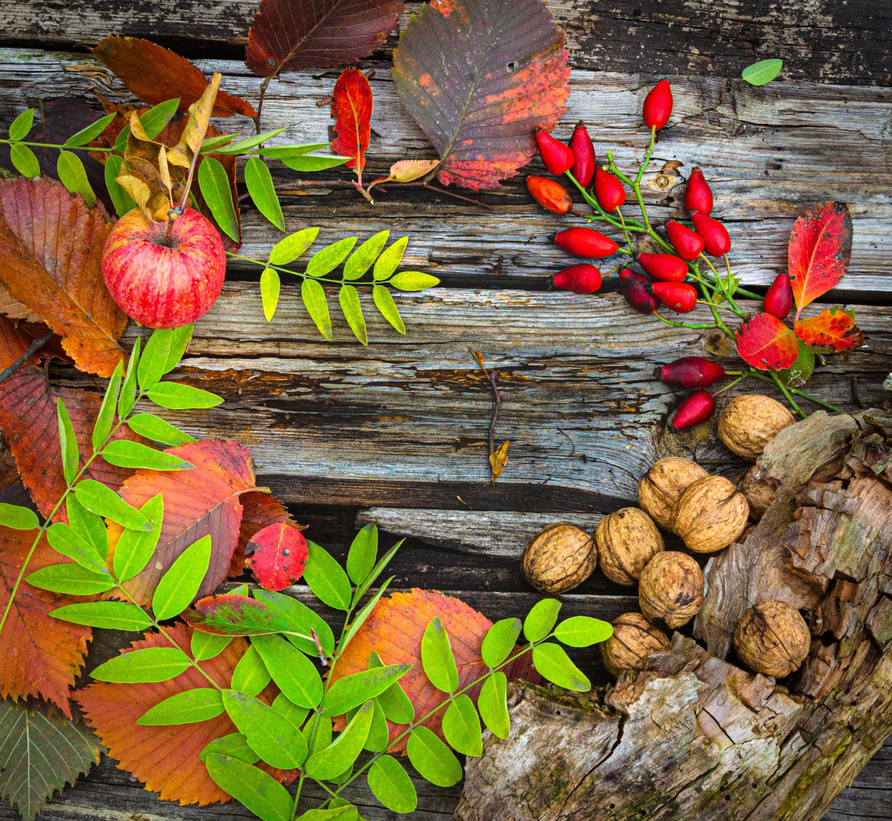 EthicalAds Newsletter - September 2023