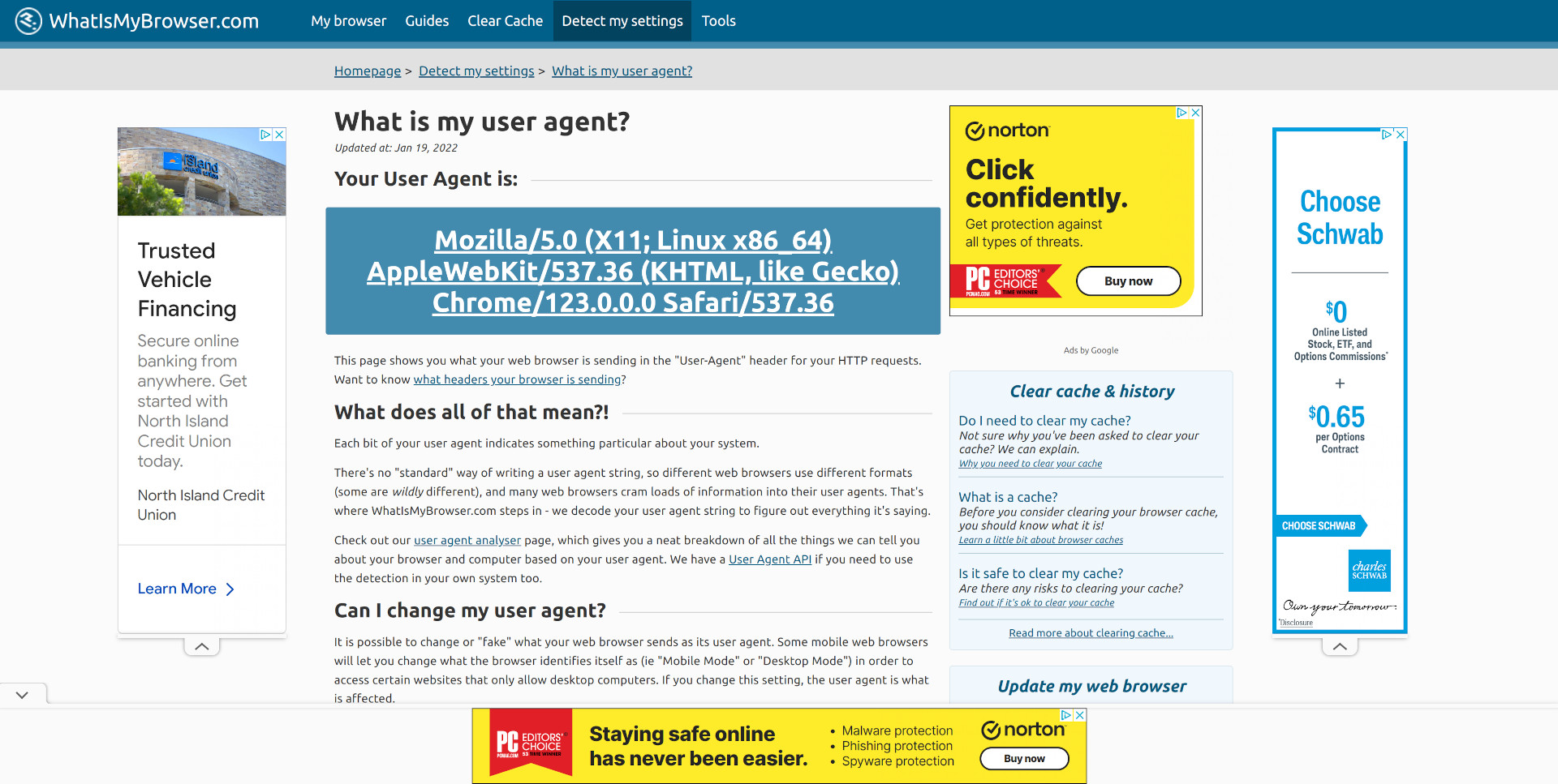 The first hit on Google for 'what is my user agent' showing no less than 4 ads