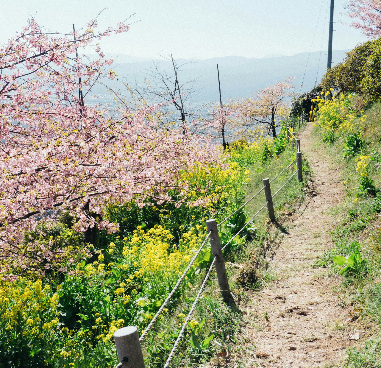 EthicalAds Newsletter - April 2026